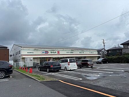 ドラッグセイムス柏花野井店 徒歩6分。 450m
