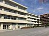 周辺：横浜市立南吉田小学校 徒歩21分。 1670m