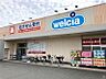 周辺：ウエルシア住吉南住吉店 809m