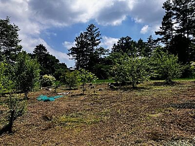 外観:現地土地写真 外観:現地土地写真