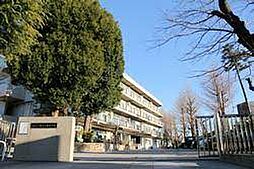 [周辺] 【中学校】横浜市立保土ケ谷中学校まで397ｍ