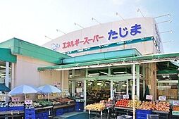 [周辺] エネルギースーパーたじま美浜店 徒歩7分。 560m