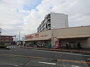 [タイヨー玉里団地店]営業時間　開店9:30〜閉店23:00定休日 不定休取扱品目 生鮮食品 日配品 一般食品 日用雑貨 衣料品 お酒 470m