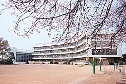 [周辺] 【小学校】武蔵野市立 井之頭小学校まで270ｍ