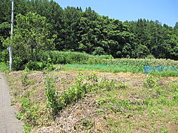 物件画像 水穴の住宅用地