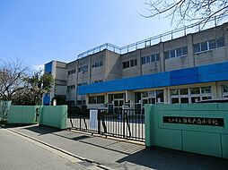 [周辺] その他環境写真 1170m 松戸市立新松戸南小学校