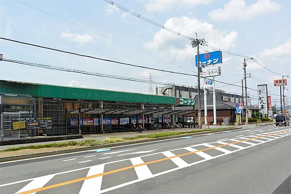 画像20:ホームセンターコーナン 御殿山店（782m）