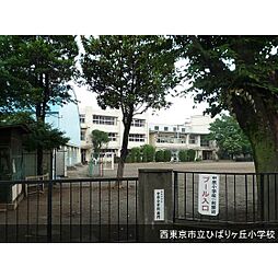 [周辺] 小学校「西東京市立中原小学校まで310ｍ」