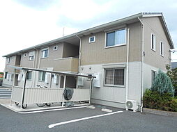 メール・ド・ルミエールB 205