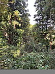 神奈川県足柄上郡山北町岸3039-1：物件画像