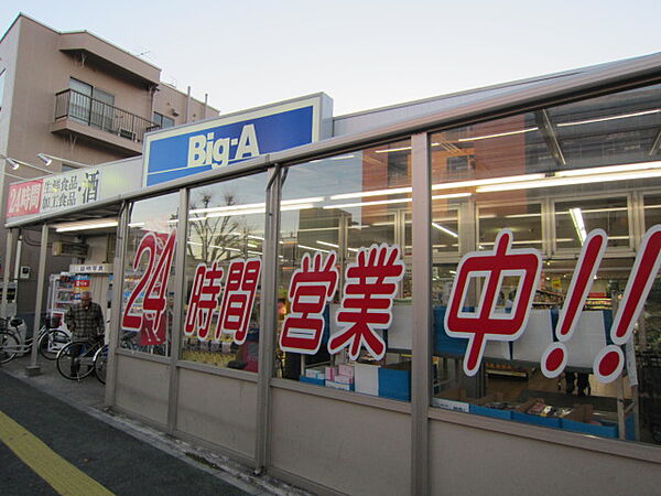 画像7:【スーパー】ビッグ・エー西川口店まで252ｍ