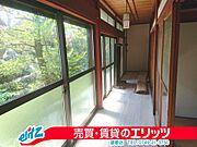 庭に面した南側の縁側には明るい日差しが入ってきます。