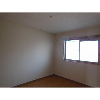 ジュエル白枝_その他_2