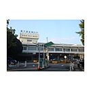 独立行政法人国立病院機構霞ヶ浦医療センタ