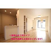 ※全て同タイプ※