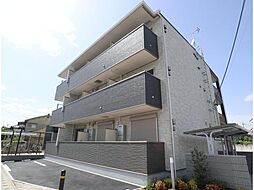 カモミール菅原東