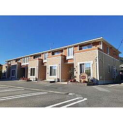 フローラーリア 205