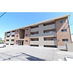 サザン・ウインド