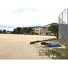 小学校「加茂小学校まで530ｍ」加茂小学校