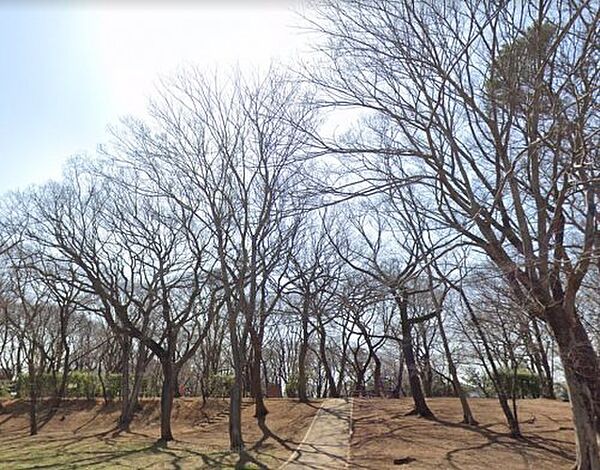 画像30:【公園】土塔森林公園まで577ｍ