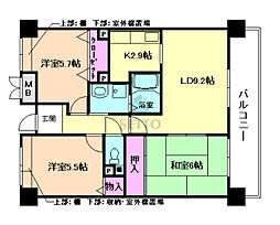 プロミネント・コート 3LDKの間取図画像
