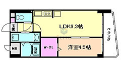エビデンス三津屋 1LDKの間取図画像