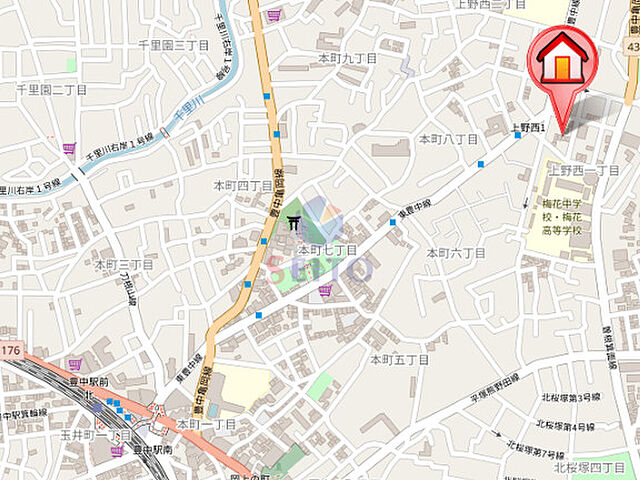 地図