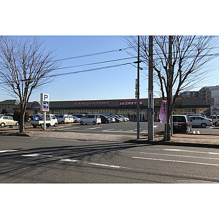 セレッソ花畑II_周辺_0