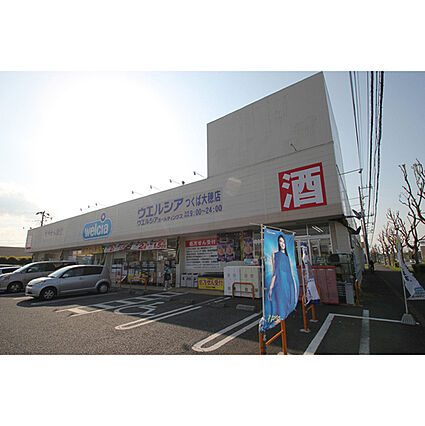 セレッソ花畑II_周辺_1