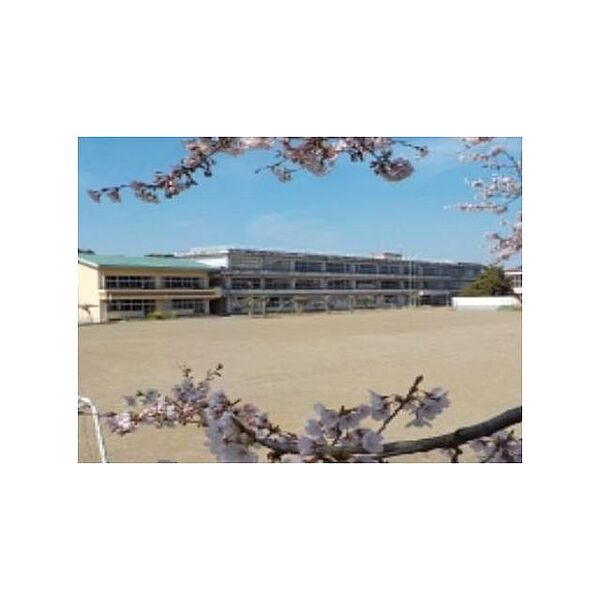 apartment 茨城県稲敷郡美浦村舟子
舟子の賃貸情報を見る
物件地図