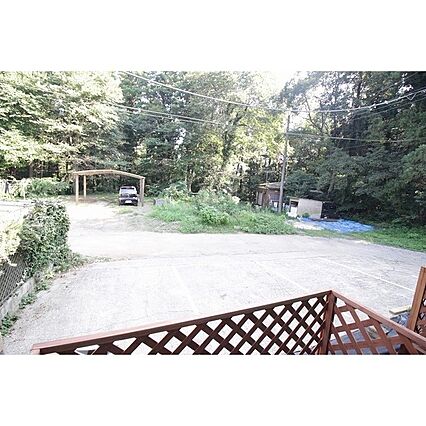 ルイ・フローラ_その他_2