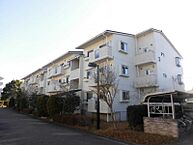 茨城県龍ケ崎市小柴4丁目：物件画像