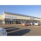 ドラックストア「カワチ薬品坂東店まで1500ｍ」