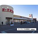 その他周辺「ヨークベニマル　坂東店まで500ｍ」