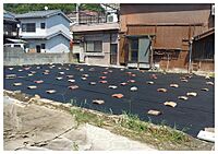 広島県東広島市安芸津町三津3646番2：物件画像