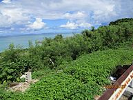 沖縄県糸満市喜屋武1267番地：物件画像