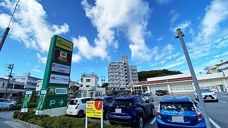 周辺環境:さつきプラザショッピングモール