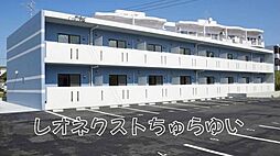 レオネクストちゅらゆい 102