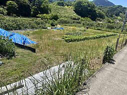 物件画像 伊予郡砥部町五本松 五本松 80万円 売土地