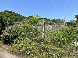 物件画像 西条市早川