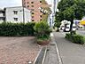 その他：前面道路含む現地写真