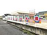 その他：【幼稚園】菊本幼稚園まで237ｍ