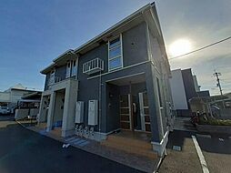 サラマンダー 203