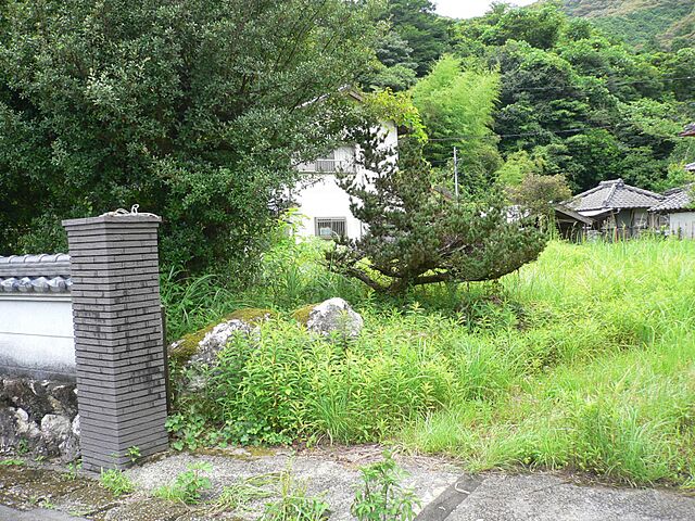 その他 須崎市上分乙372