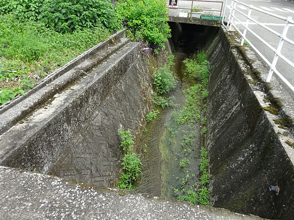 その他を拡大表示