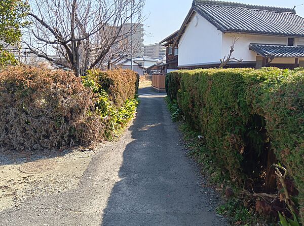 周辺を拡大表示