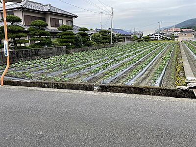 外観：全景