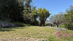 物件画像 高知市高須大島