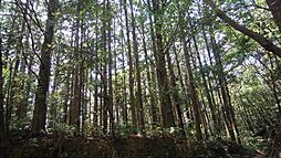 高知市重倉