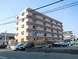 Bello Palazzo （ベロパラ3）